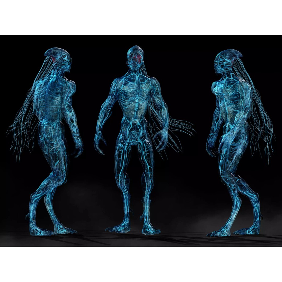 Alien Circulatory System 3D Model – Low Poly Rigged Character, FBX, OBJ - View 2
