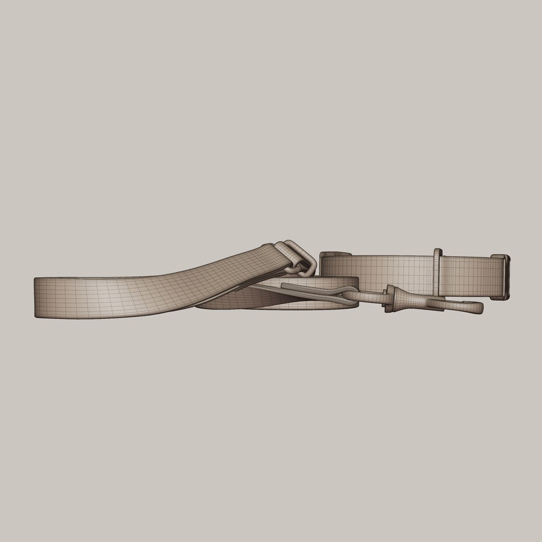 Pet Collar and Leash Set 3D Model – Realistic Accessories, FBX