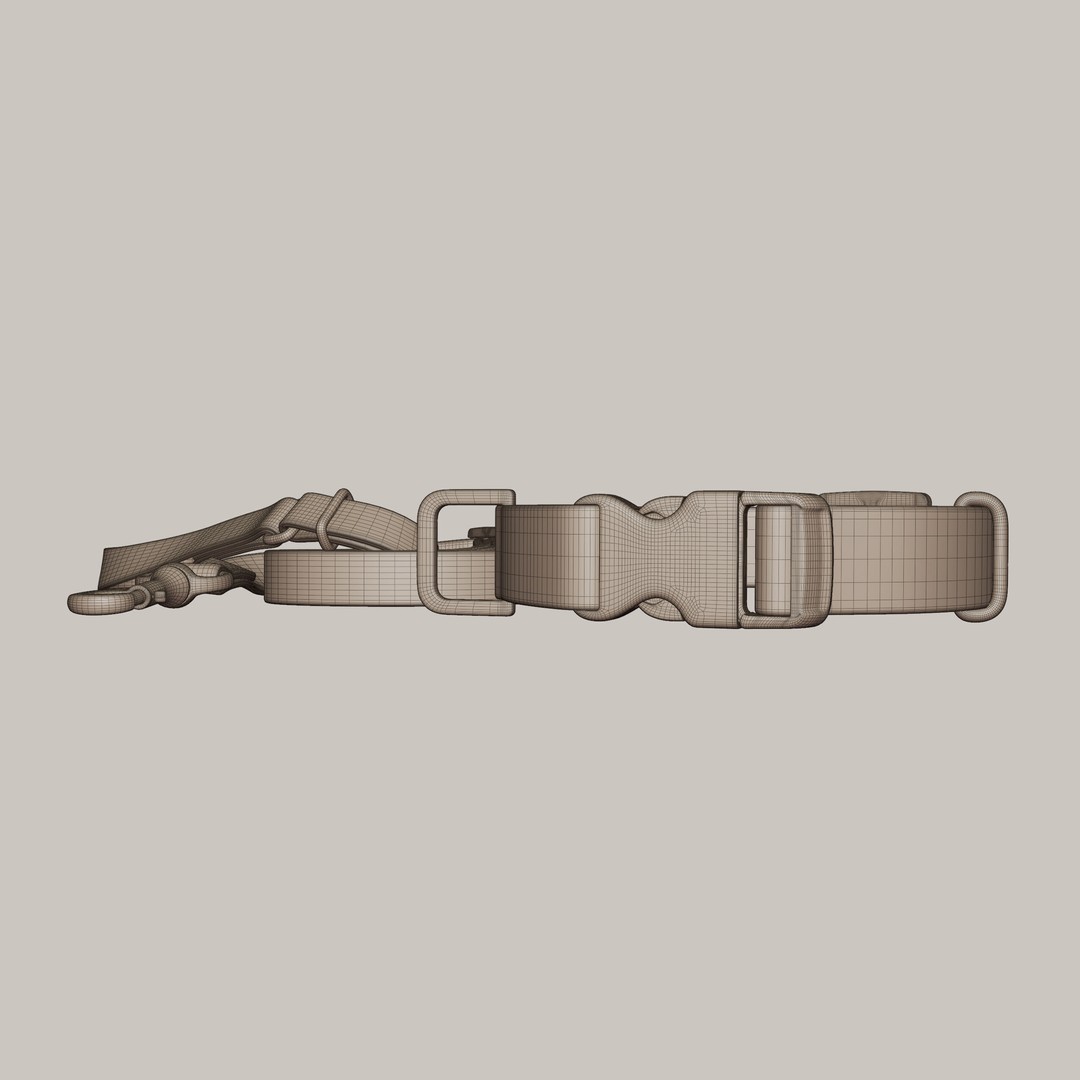 Pet Collar and Leash Set 3D Model – Realistic Accessories, FBX - View 10