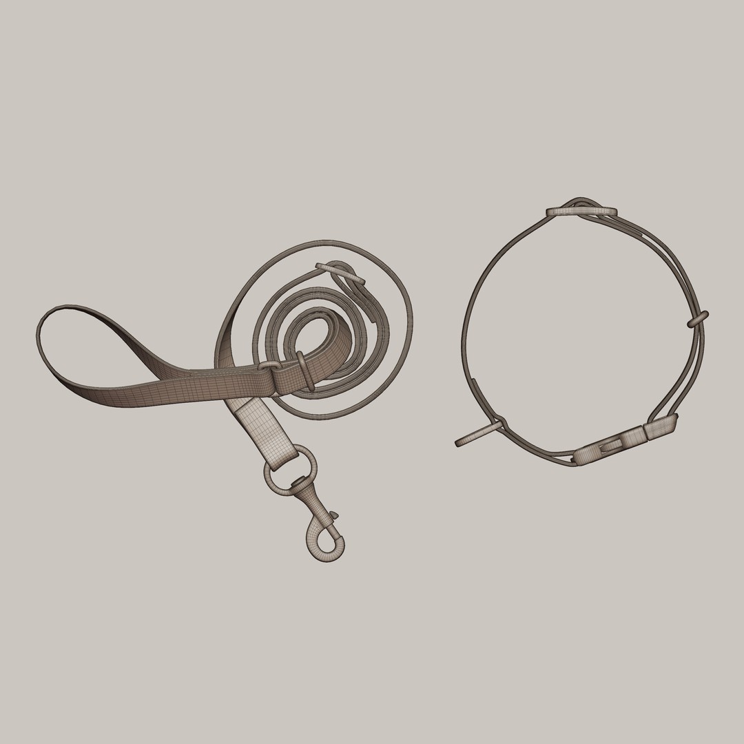 Pet Collar and Leash Set 3D Model – Realistic Accessories, FBX - View 11