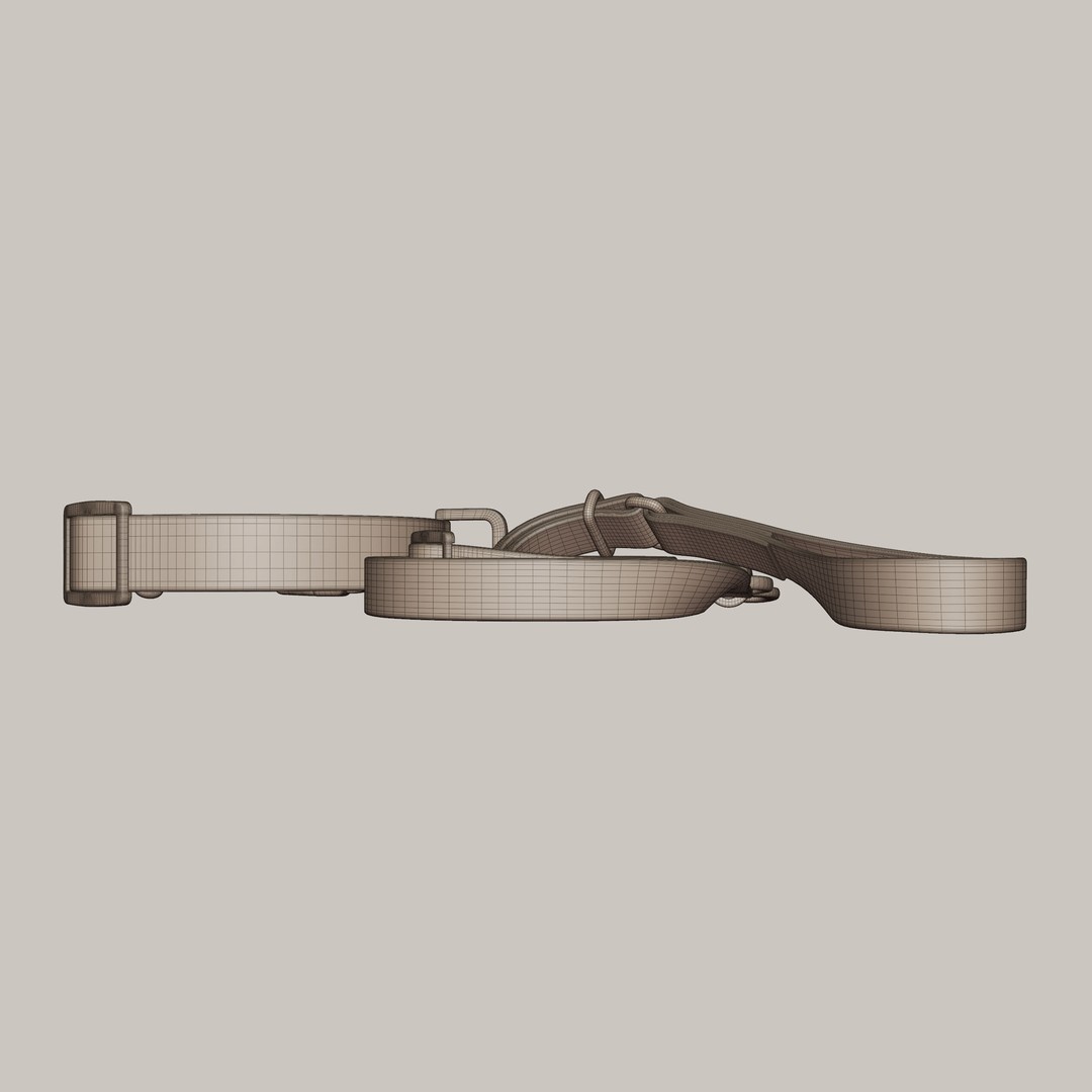 Pet Collar and Leash Set 3D Model – Realistic Accessories, FBX - View 12