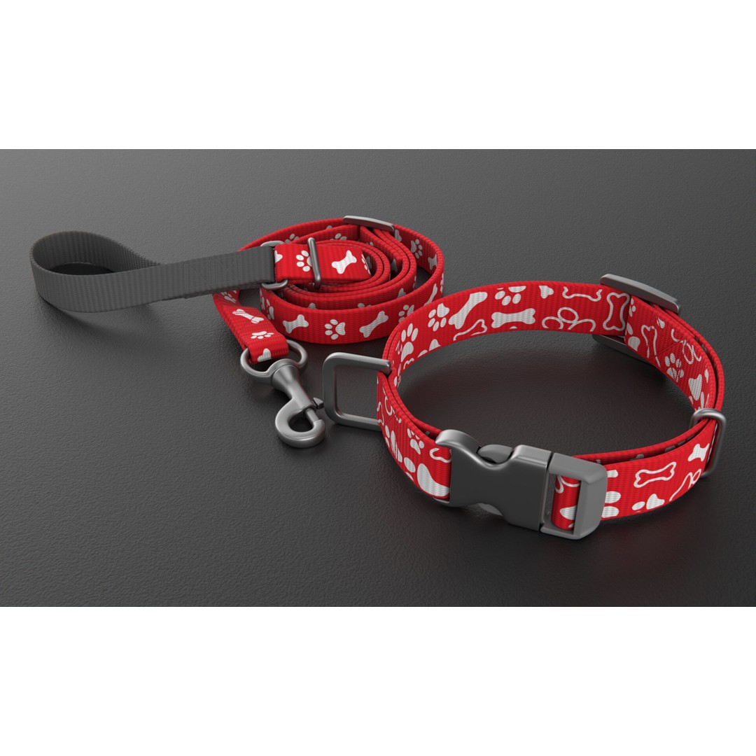 Pet Collar and Leash Set 3D Model – Realistic Accessories, FBX - View 3