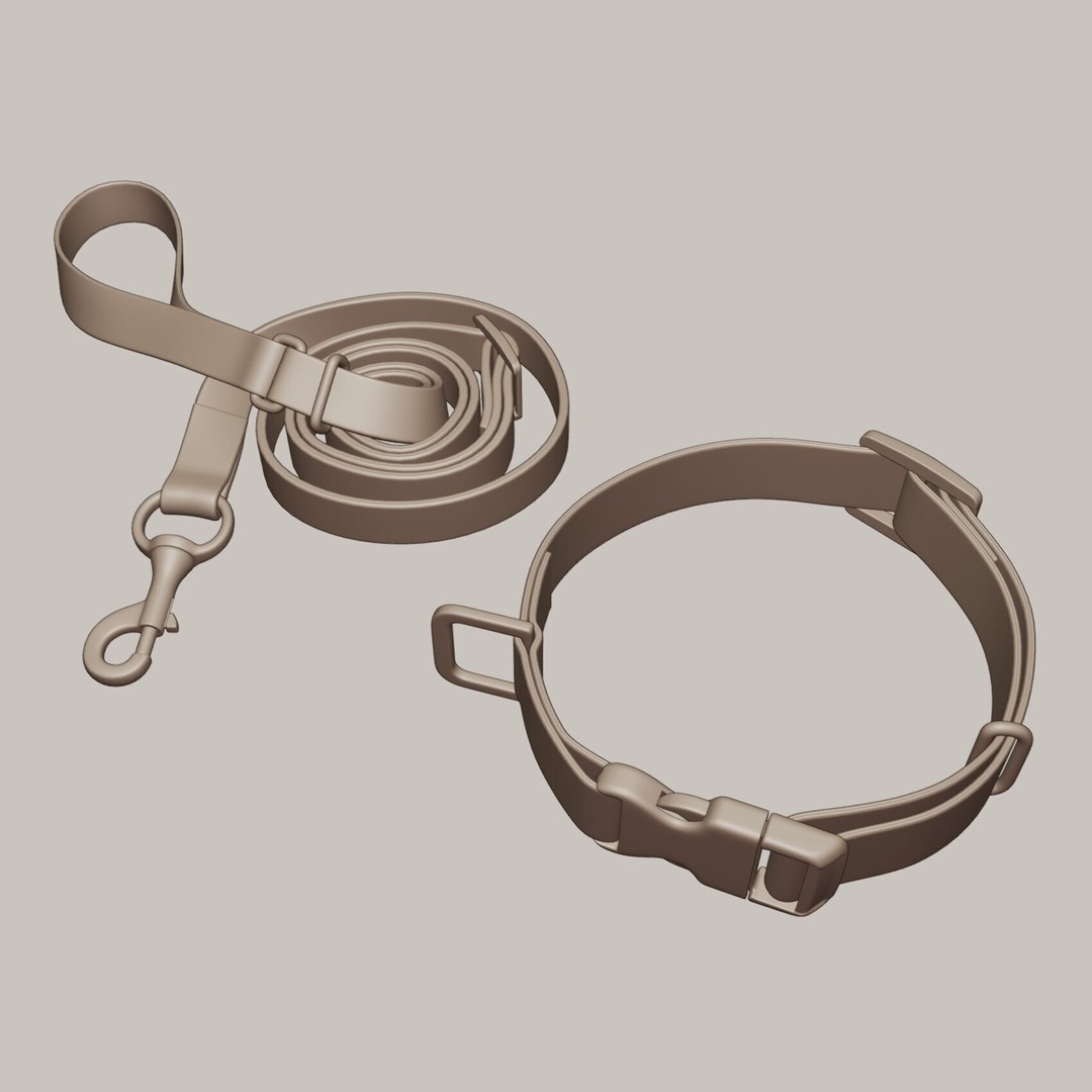 Pet Collar and Leash Set 3D Model – Realistic Accessories, FBX - View 4