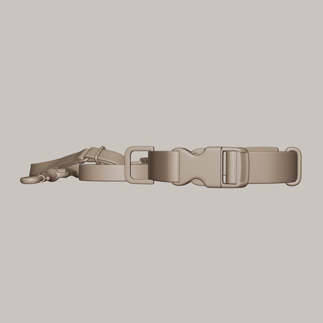 Pet Collar and Leash Set 3D Model – Realistic Accessories, FBX - View 5