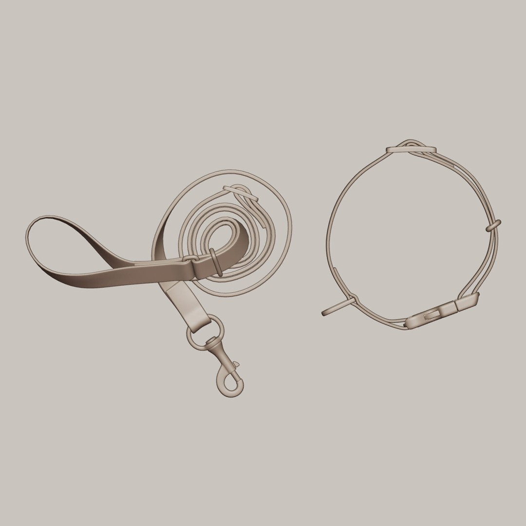 Pet Collar and Leash Set 3D Model – Realistic Accessories, FBX - View 6