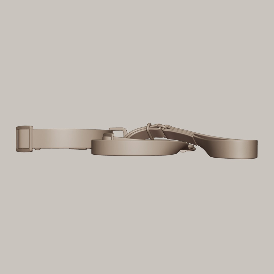 Pet Collar and Leash Set 3D Model – Realistic Accessories, FBX - View 7