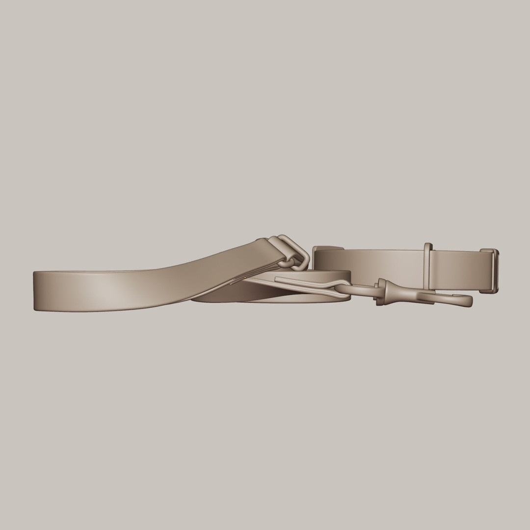 Pet Collar and Leash Set 3D Model – Realistic Accessories, FBX - View 8