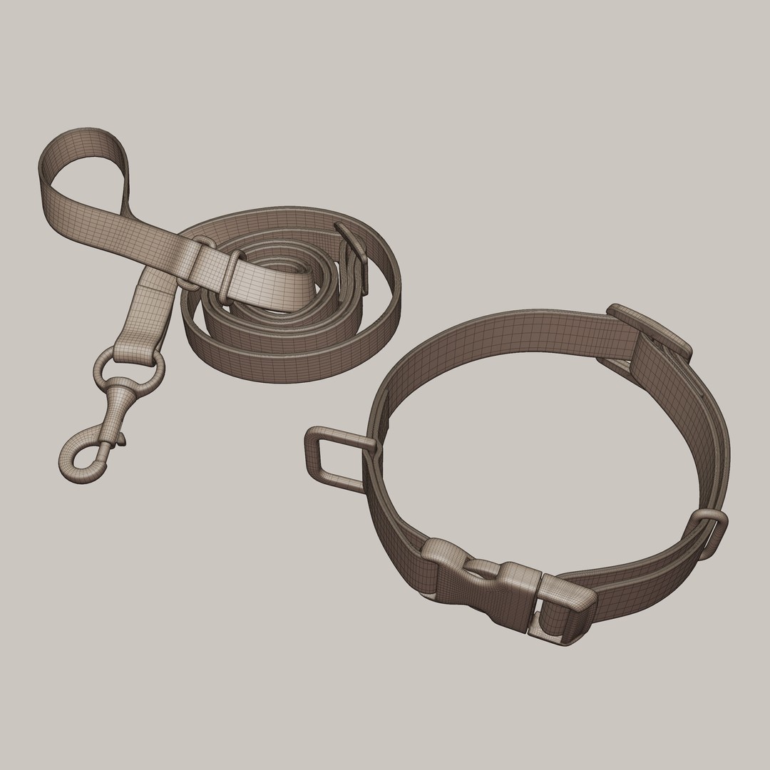 Pet Collar and Leash Set 3D Model – Realistic Accessories, FBX - View 9