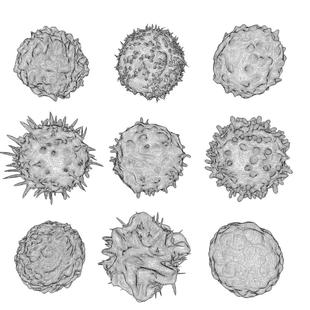 Lymphocytes 3D Model – Detailed Medical Asset, PBR Textures, OBJ