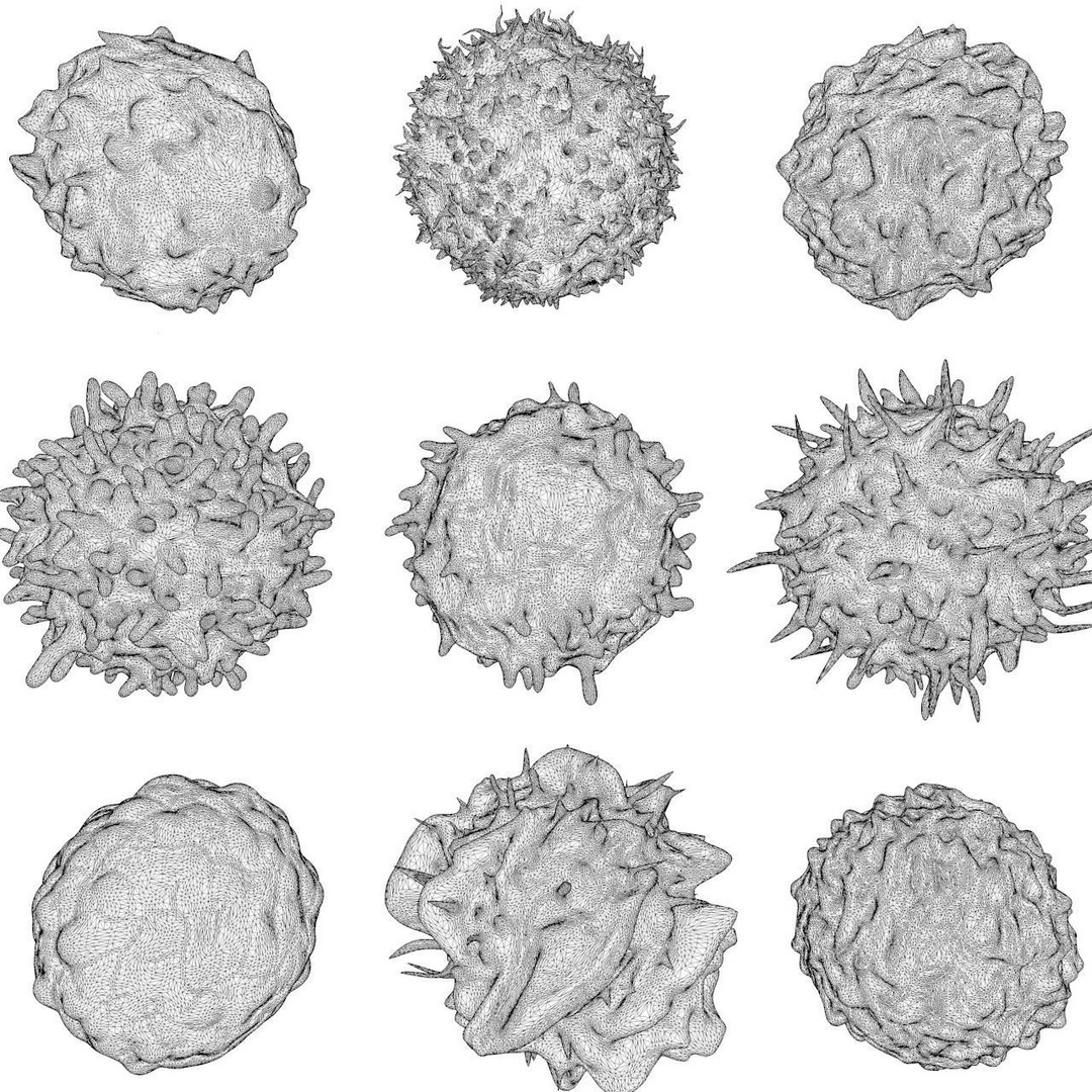 Lymphocytes 3D Model – Detailed Medical Asset, PBR Textures, OBJ - View 13
