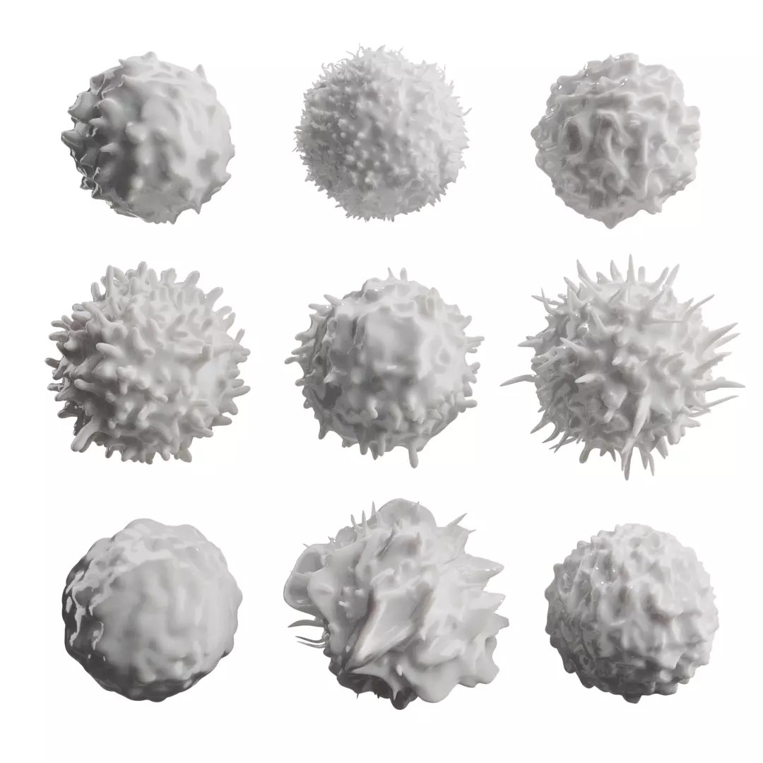 Lymphocytes 3D Model – Detailed Medical Asset, PBR Textures, OBJ - View 2