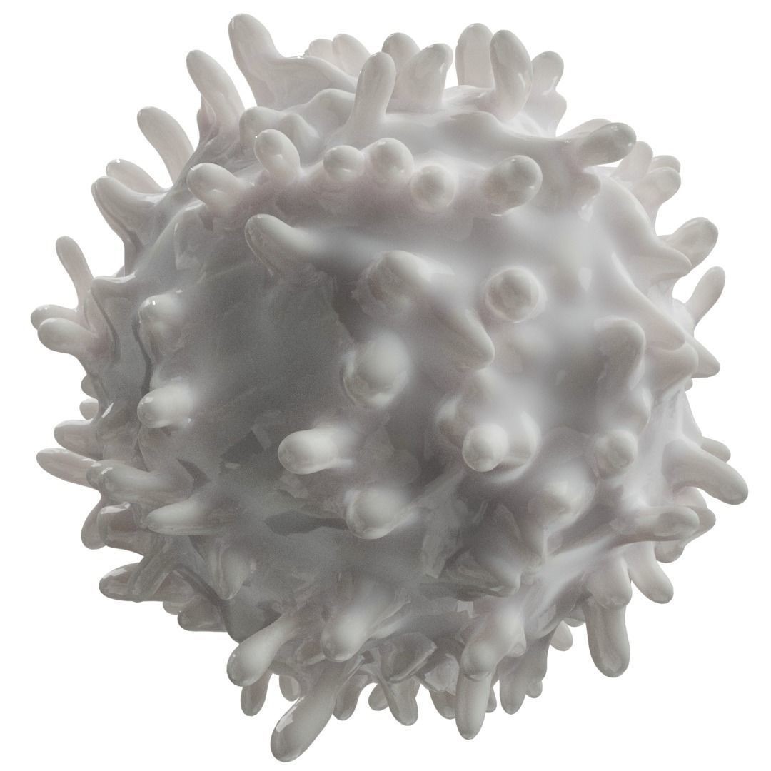 Lymphocytes 3D Model – Detailed Medical Asset, PBR Textures, OBJ - View 5