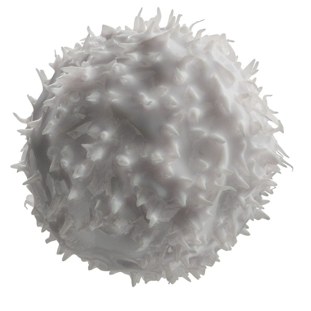 Lymphocytes 3D Model – Detailed Medical Asset, PBR Textures, OBJ - View 6