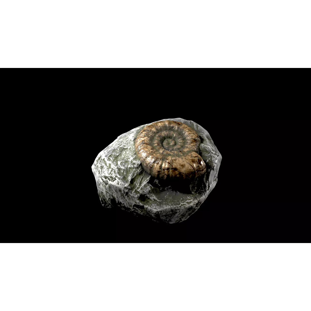 Ammonite Fossil 3D Model – Game Ready Low-Poly Asset, FBX - View 3