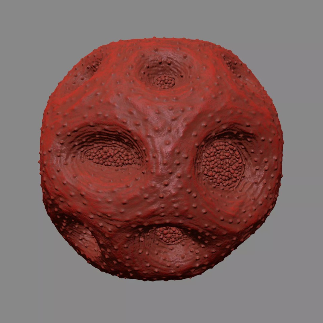 Rose Pollen 3D Model – Detailed Biological Visualization, PBR Textures - View 12