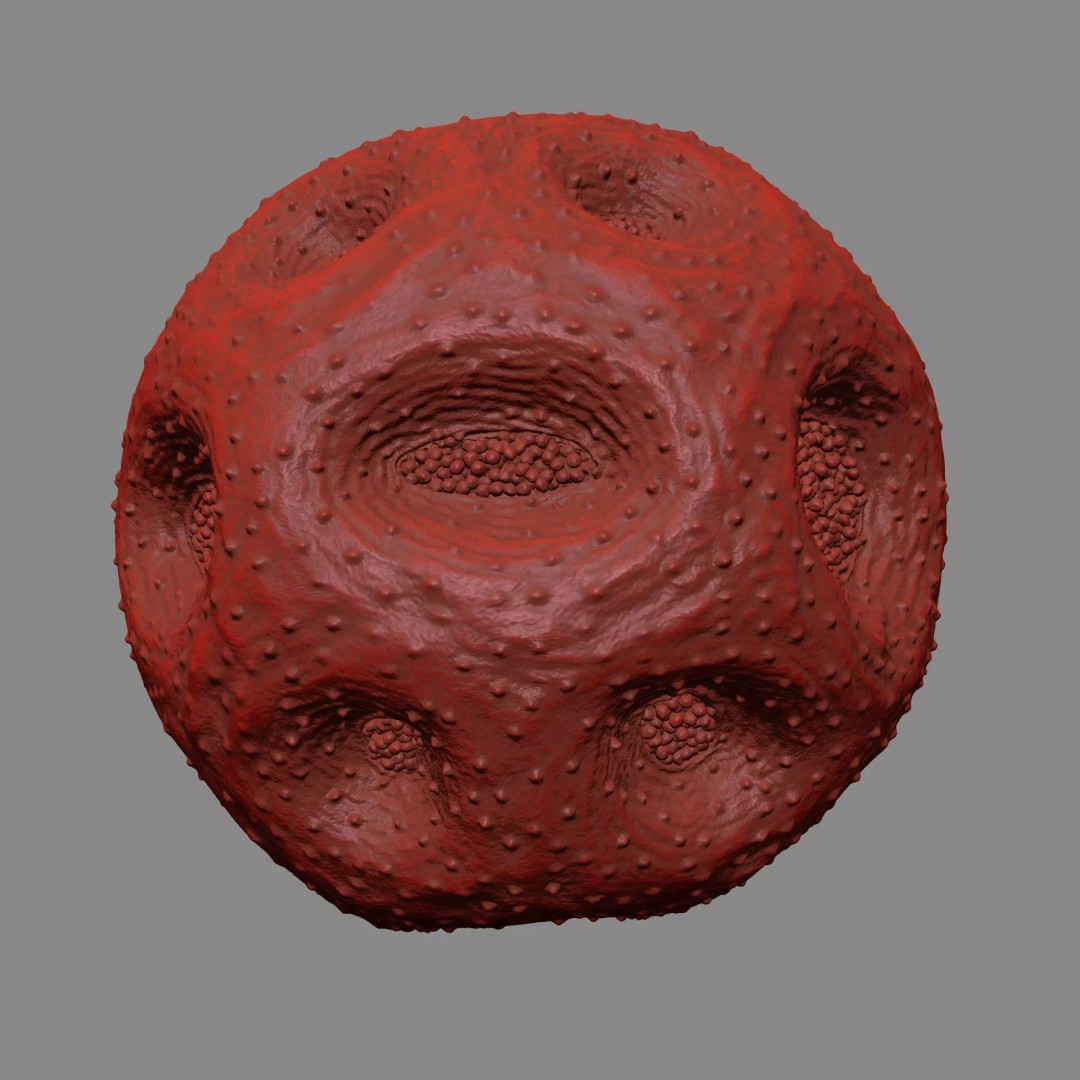 Rose Pollen 3D Model – Detailed Biological Visualization, PBR Textures - View 13