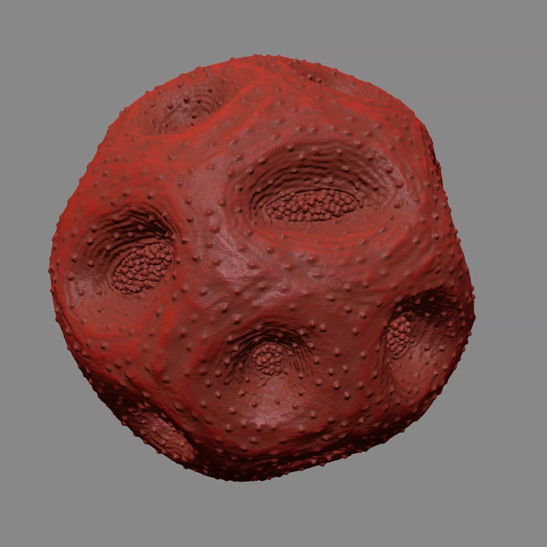 Rose Pollen 3D Model – Detailed Biological Visualization, PBR Textures - View 14