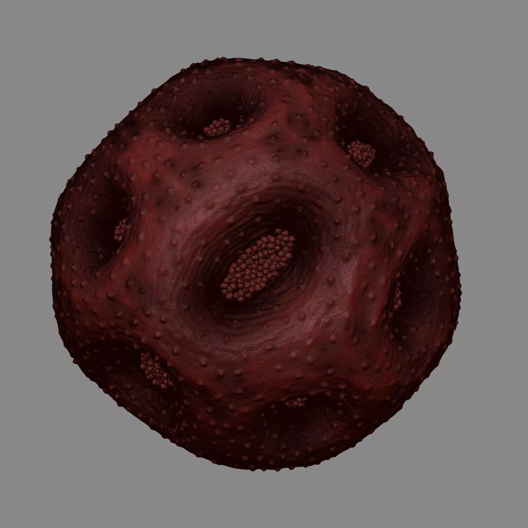 Rose Pollen 3D Model – Detailed Biological Visualization, PBR Textures - View 16
