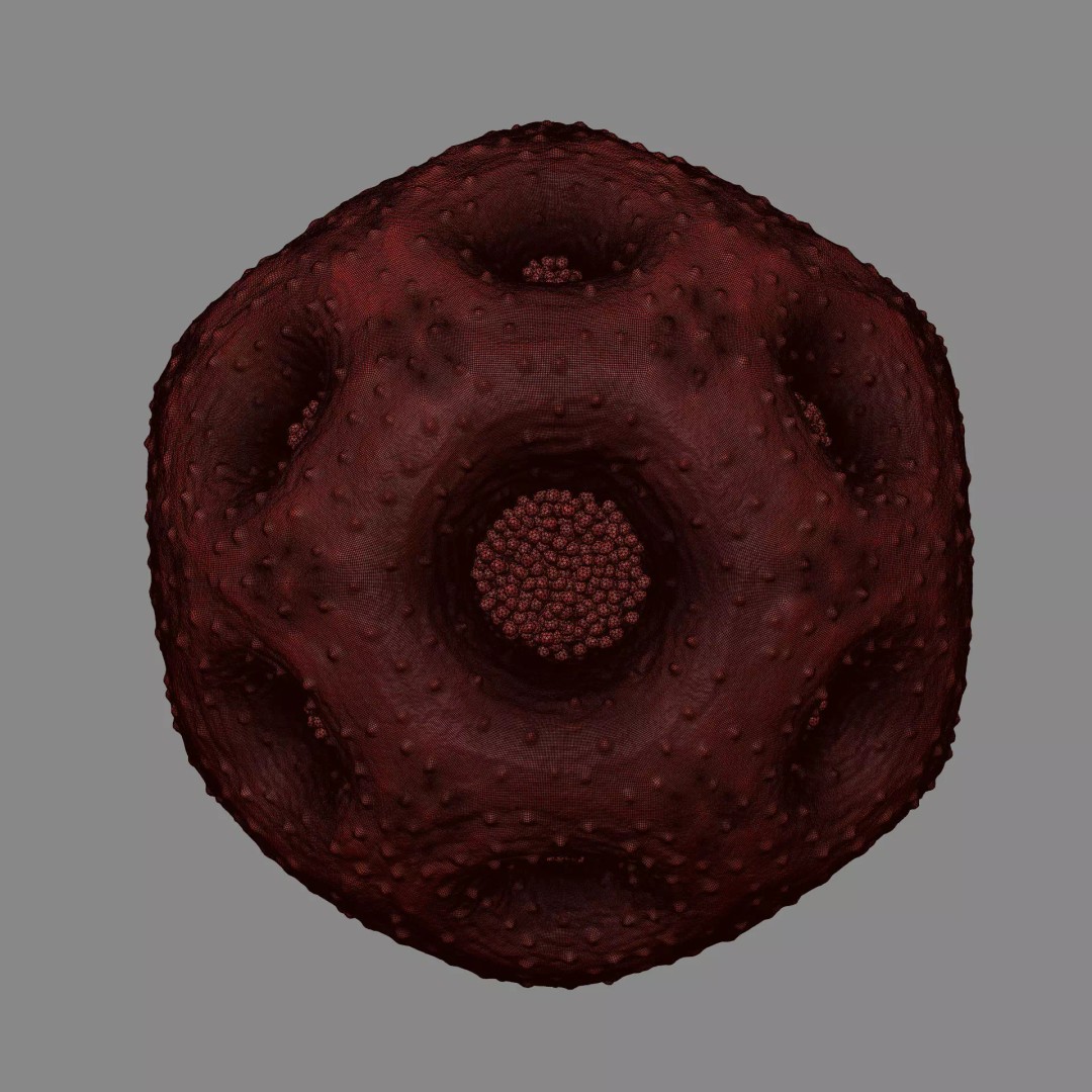 Rose Pollen 3D Model – Detailed Biological Visualization, PBR Textures - View 18