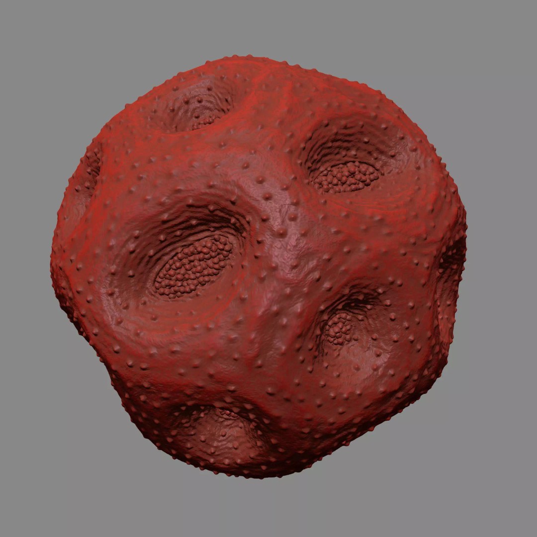 Rose Pollen 3D Model – Detailed Biological Visualization, PBR Textures - View 19