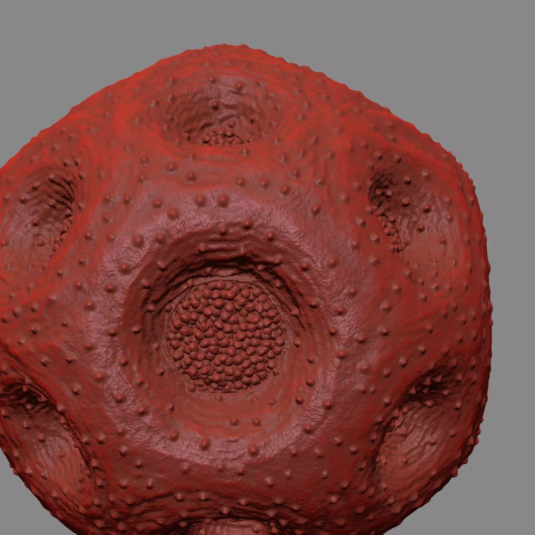 Rose Pollen 3D Model – Detailed Biological Visualization, PBR Textures - View 21