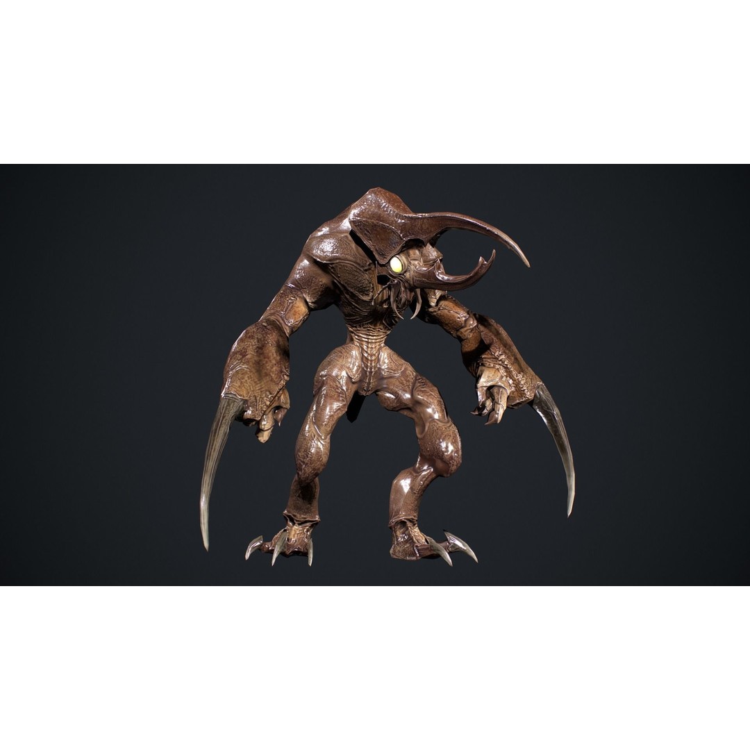 Bug Creature 3D Model – Low Poly Fantasy Character, Rigged, PBR - View 12