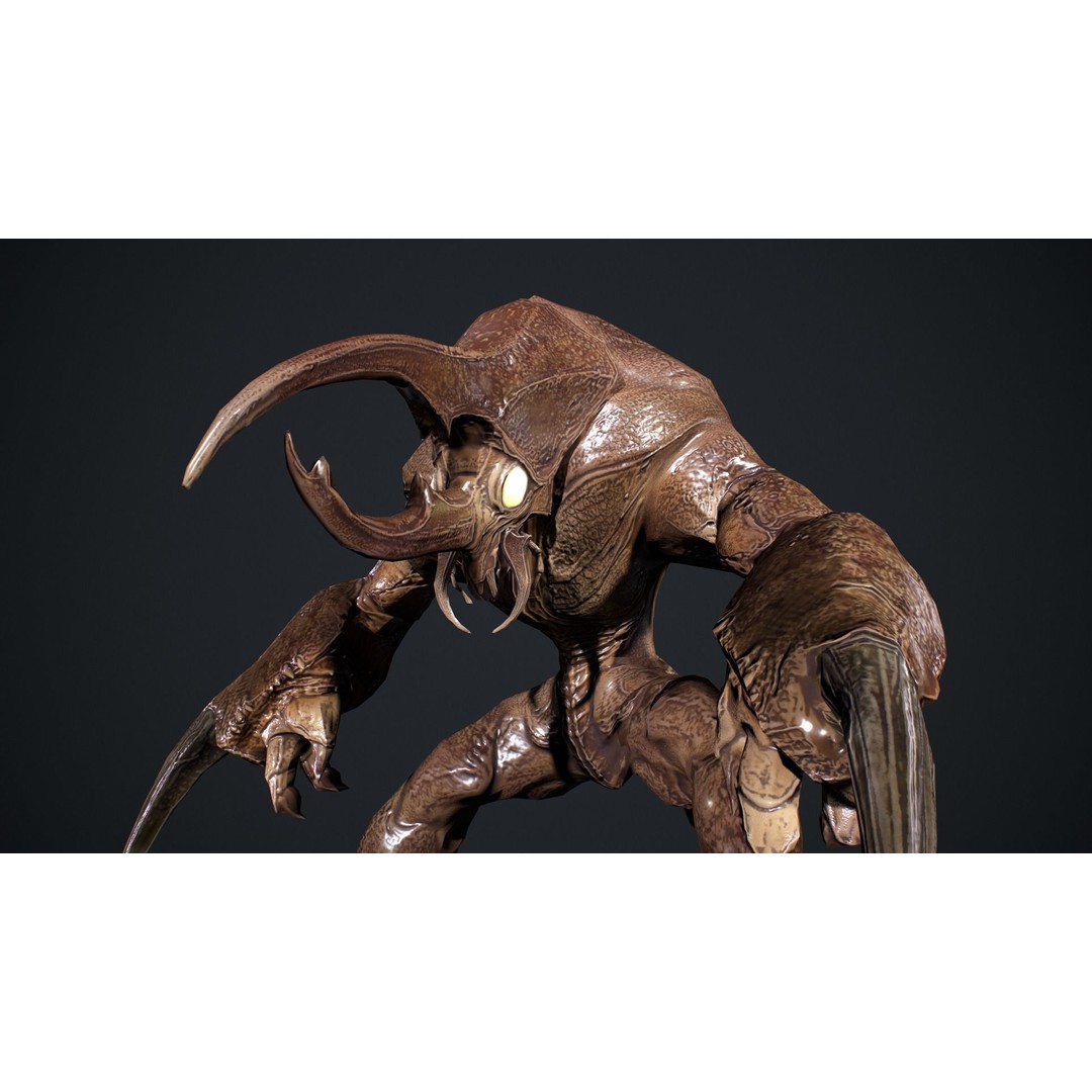 Bug Creature 3D Model – Low Poly Fantasy Character, Rigged, PBR - View 9