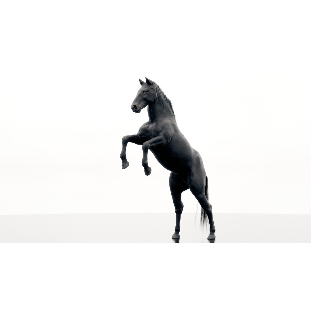 Horse 3D Model – Realistic Low-Poly Rigged Character for Animation