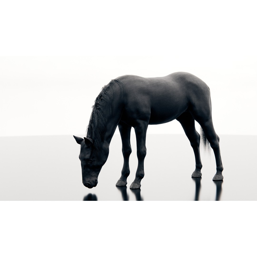 Horse 3D Model – Realistic Low-Poly Rigged Character for Animation - View 11
