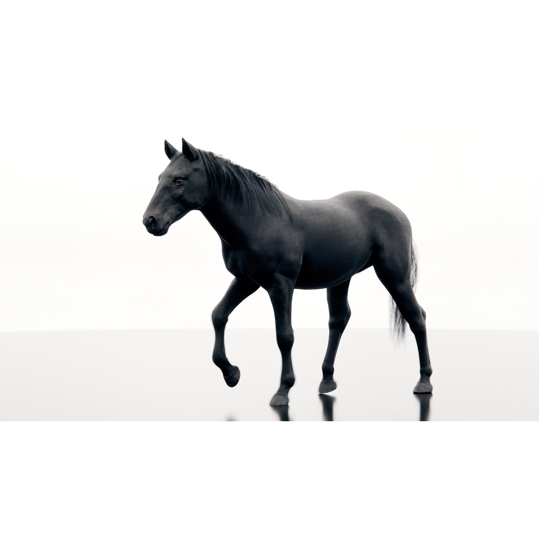 Horse 3D Model – Realistic Low-Poly Rigged Character for Animation - View 13