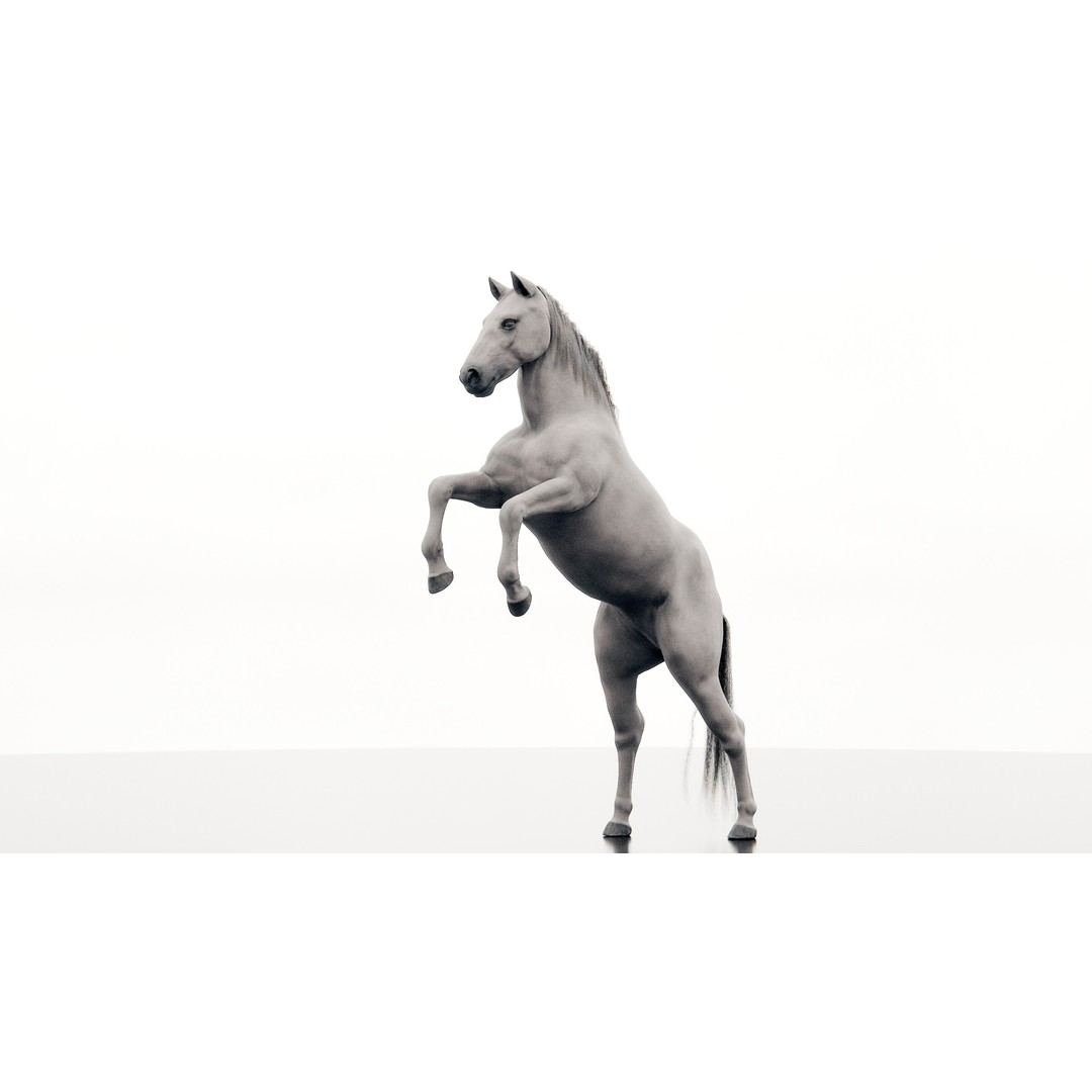 Horse 3D Model – Realistic Low-Poly Rigged Character for Animation - View 17
