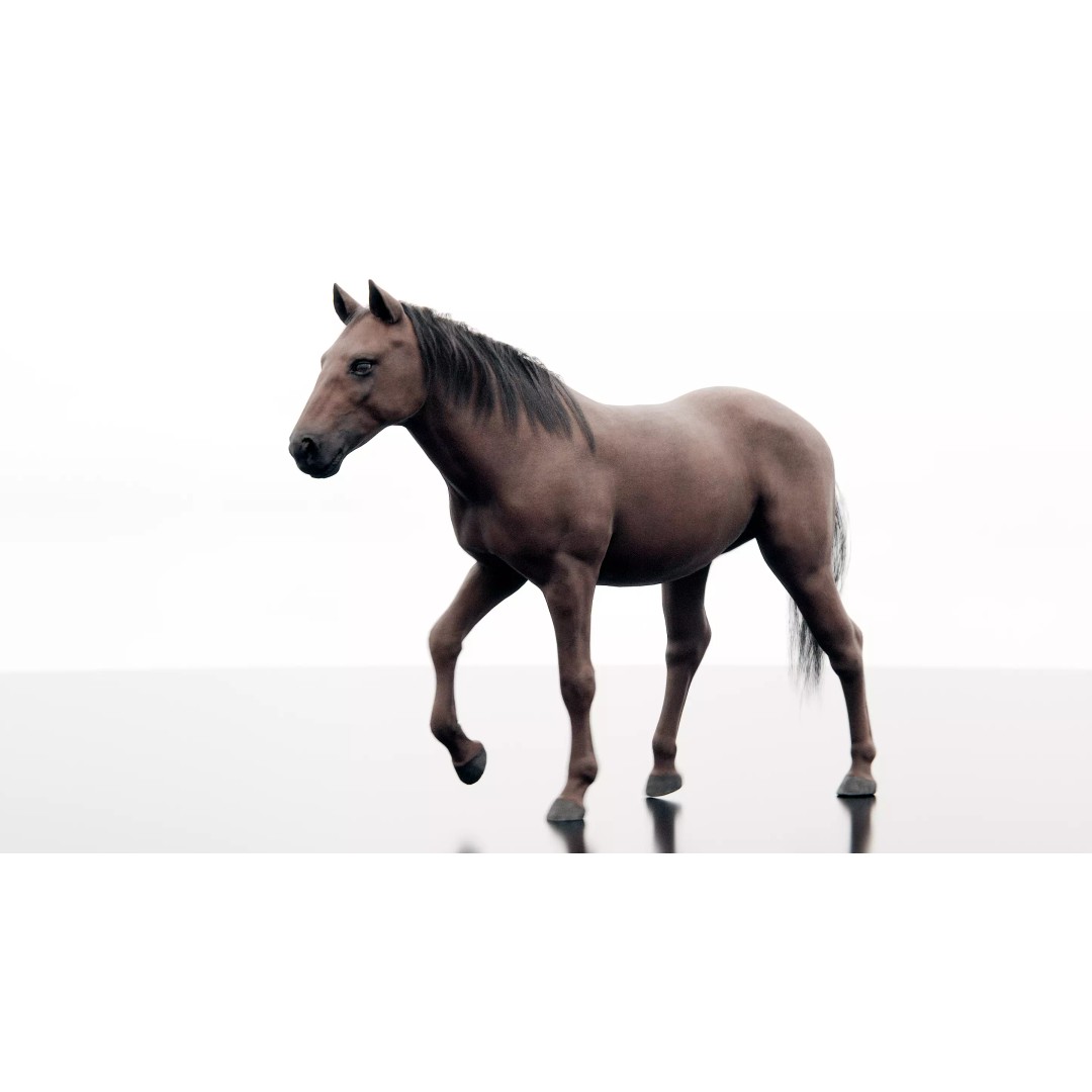 Horse 3D Model – Realistic Low-Poly Rigged Character for Animation - View 2