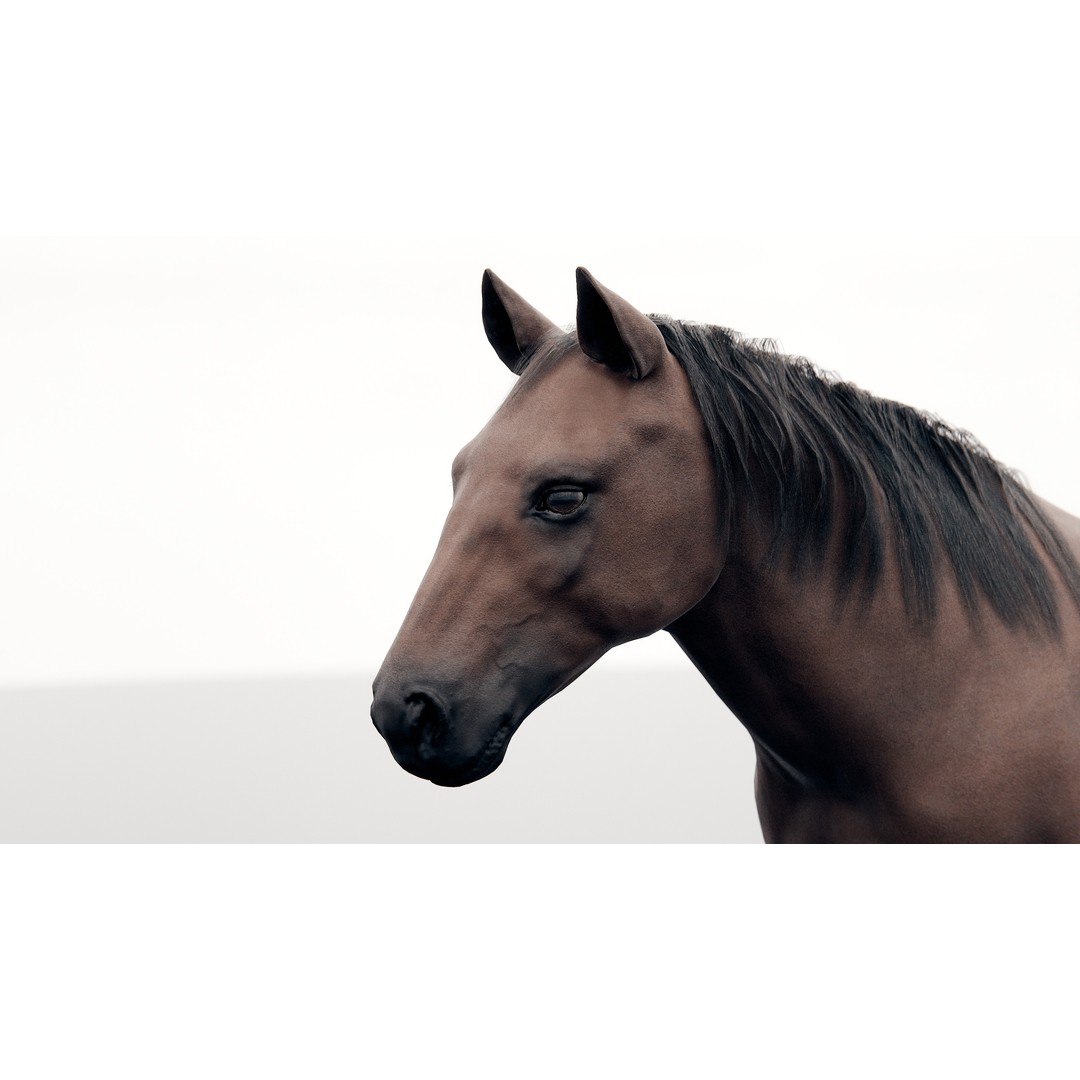 Horse 3D Model – Realistic Low-Poly Rigged Character for Animation - View 3
