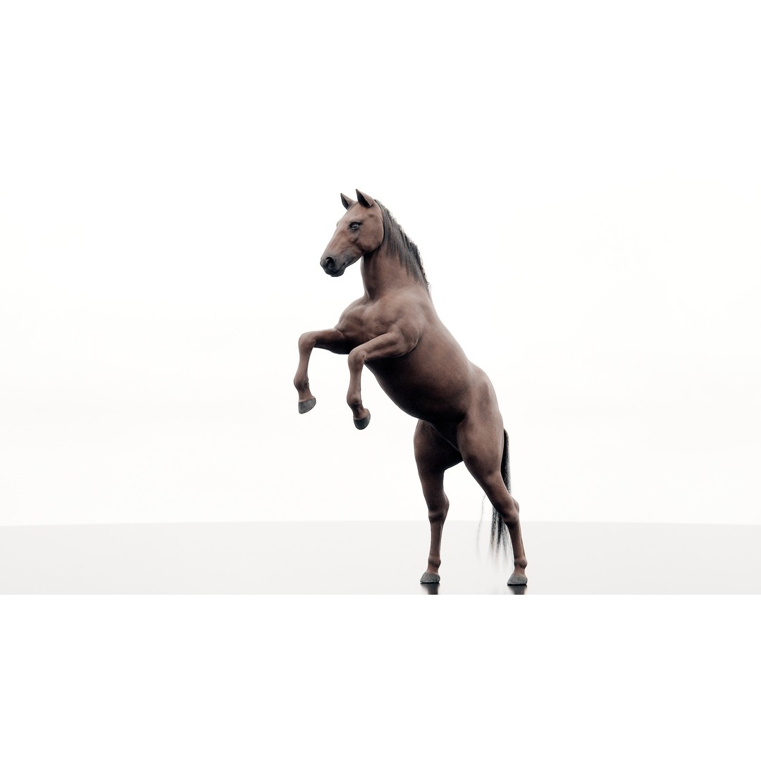 Horse 3D Model – Realistic Low-Poly Rigged Character for Animation - View 4
