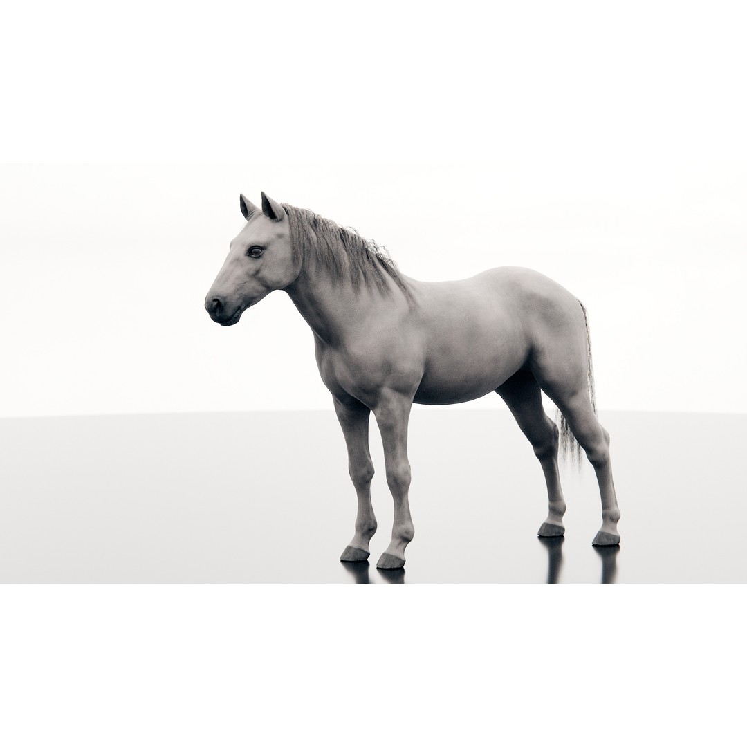 Horse 3D Model – Realistic Low-Poly Rigged Character for Animation - View 6