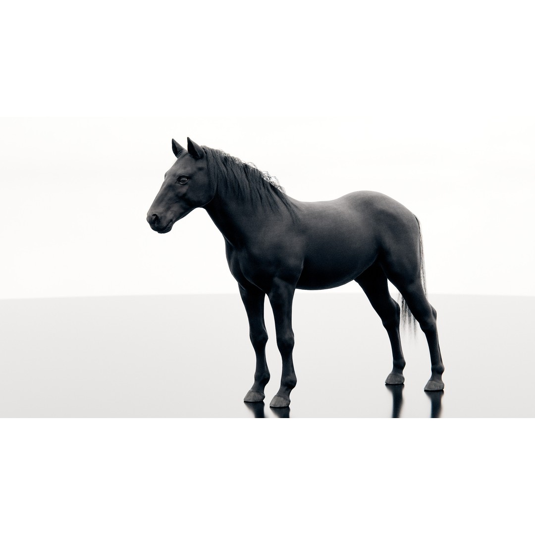 Horse 3D Model – Realistic Low-Poly Rigged Character for Animation - View 7
