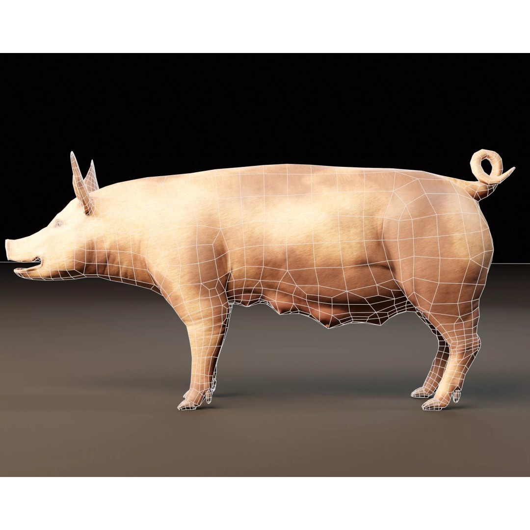 Pig 3D Model – Low Poly Animal Asset, FBX & OBJ Formats - View 10