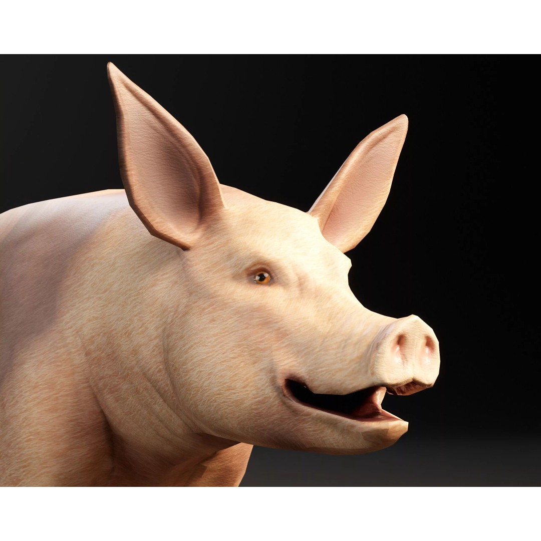 Pig 3D Model – Low Poly Animal Asset, FBX & OBJ Formats - View 11