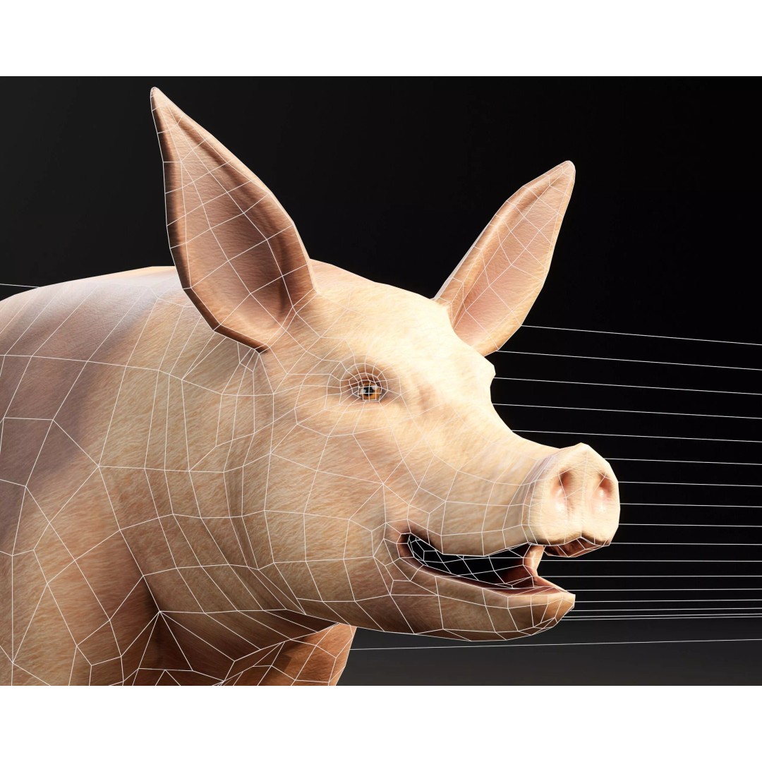 Pig 3D Model – Low Poly Animal Asset, FBX & OBJ Formats - View 12