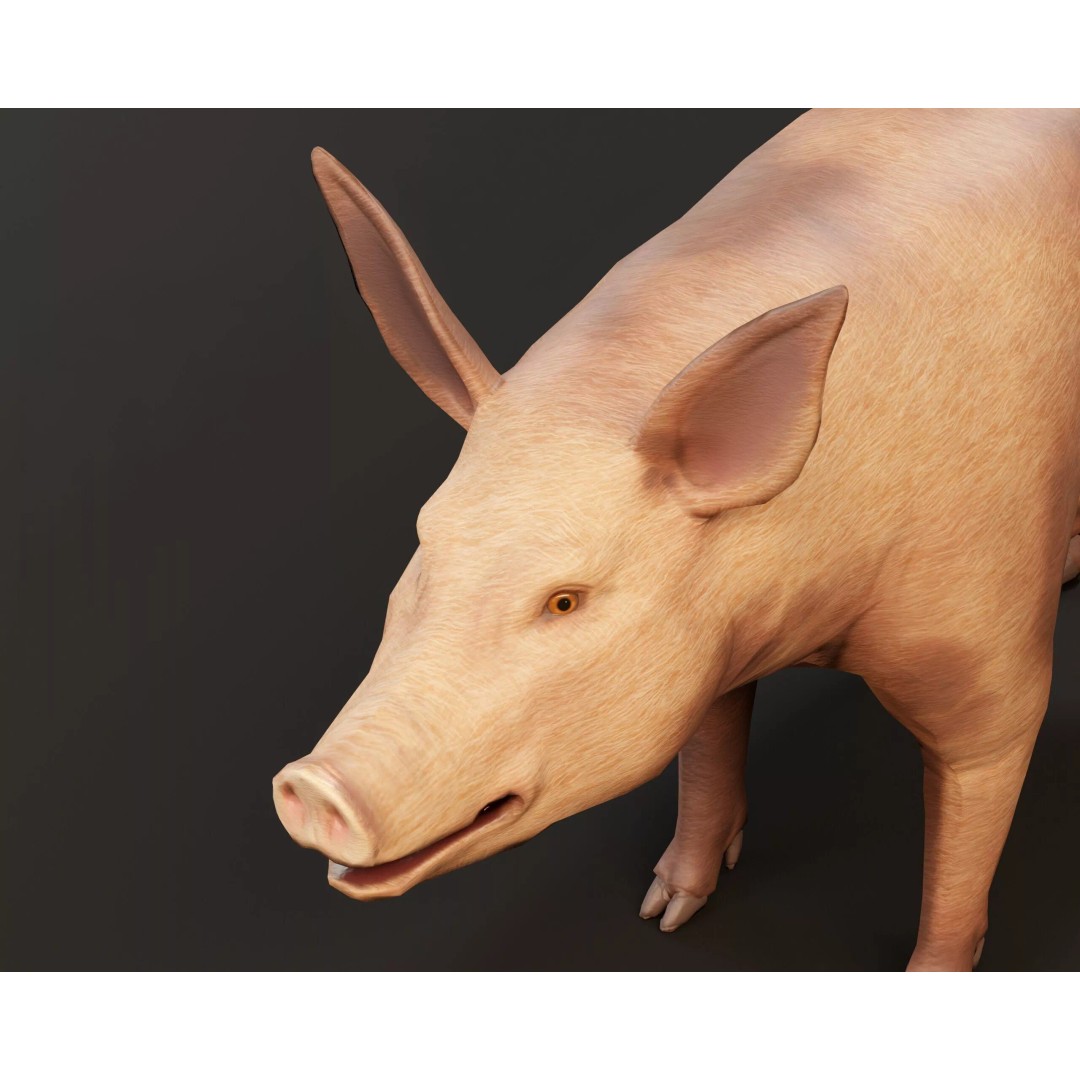 Pig 3D Model – Low Poly Animal Asset, FBX & OBJ Formats - View 13