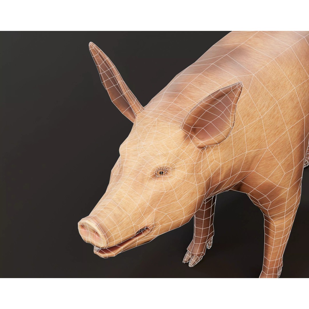 Pig 3D Model – Low Poly Animal Asset, FBX & OBJ Formats - View 14