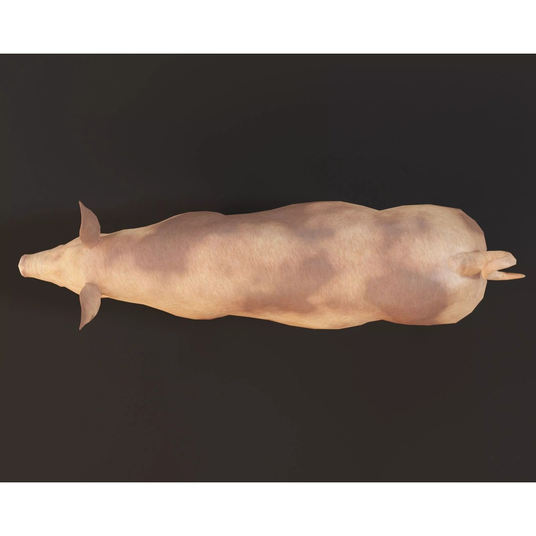 Pig 3D Model – Low Poly Animal Asset, FBX & OBJ Formats - View 15