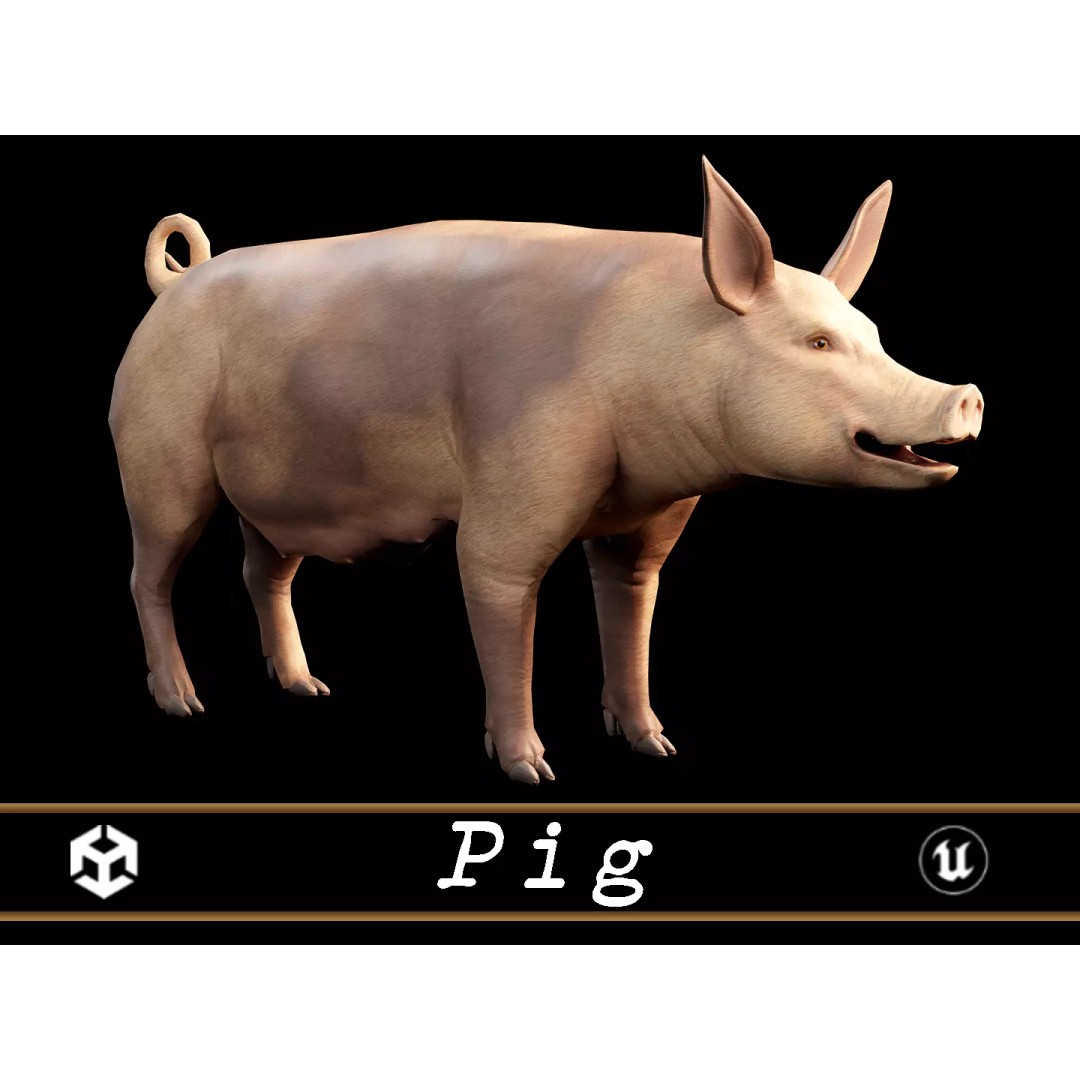 Pig 3D Model – Low Poly Animal Asset, FBX & OBJ Formats - View 2