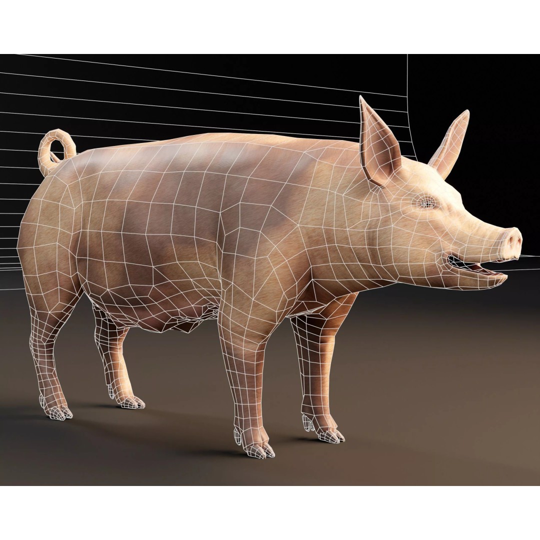 Pig 3D Model – Low Poly Animal Asset, FBX & OBJ Formats - View 4