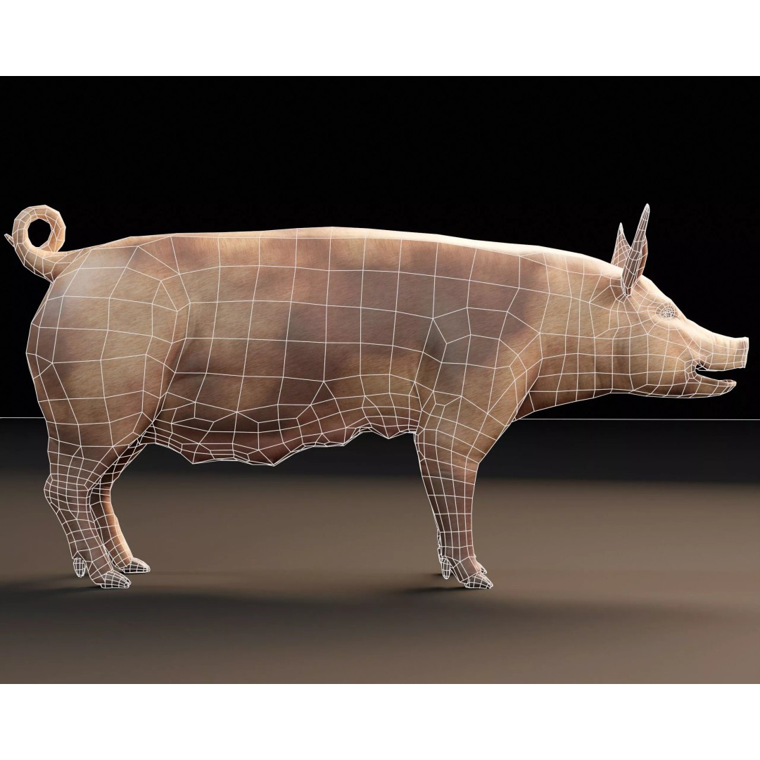 Pig 3D Model – Low Poly Animal Asset, FBX & OBJ Formats - View 6
