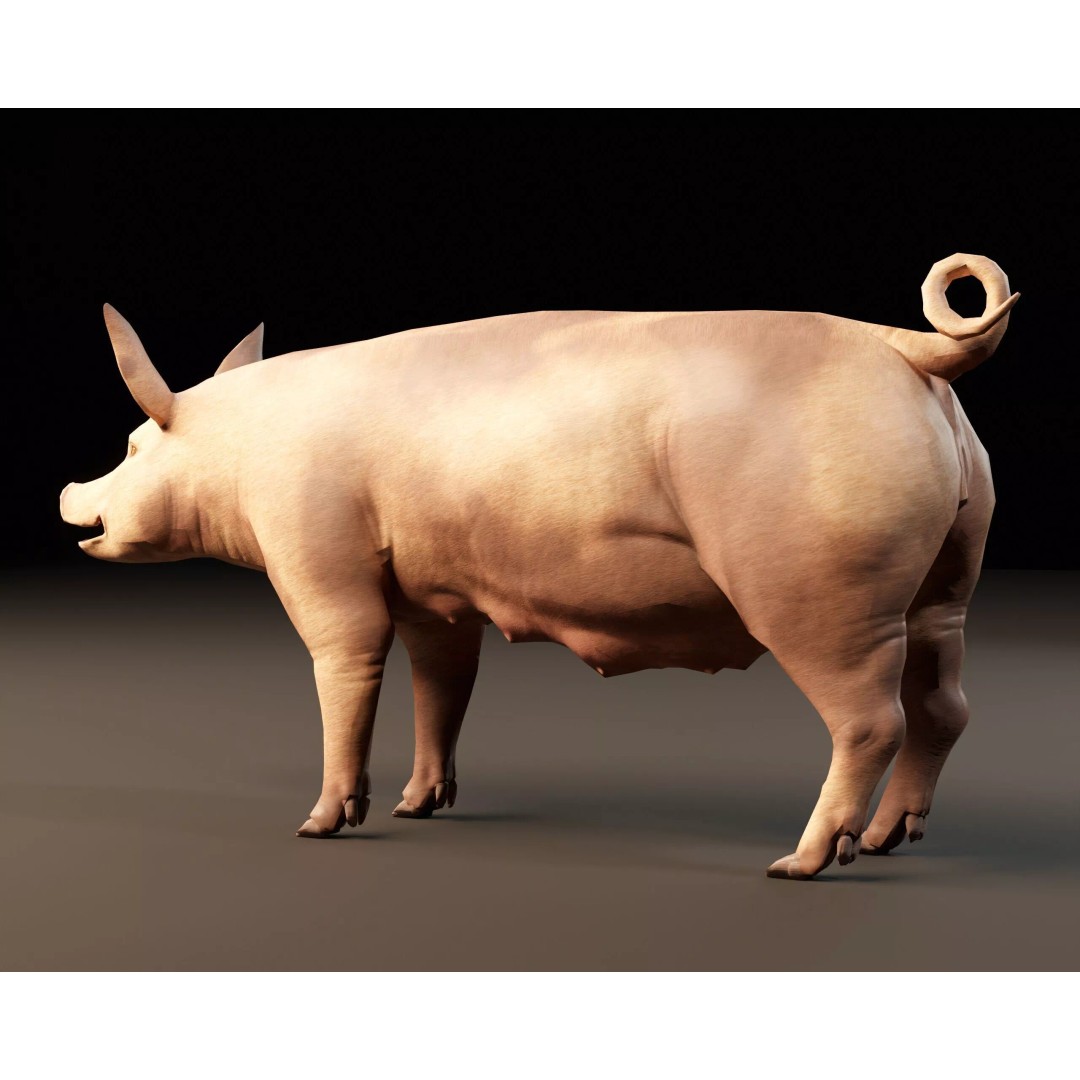 Pig 3D Model – Low Poly Animal Asset, FBX & OBJ Formats - View 7