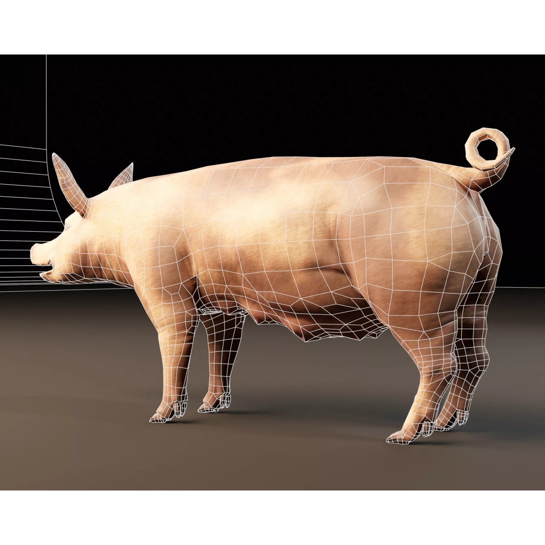 Pig 3D Model – Low Poly Animal Asset, FBX & OBJ Formats - View 8