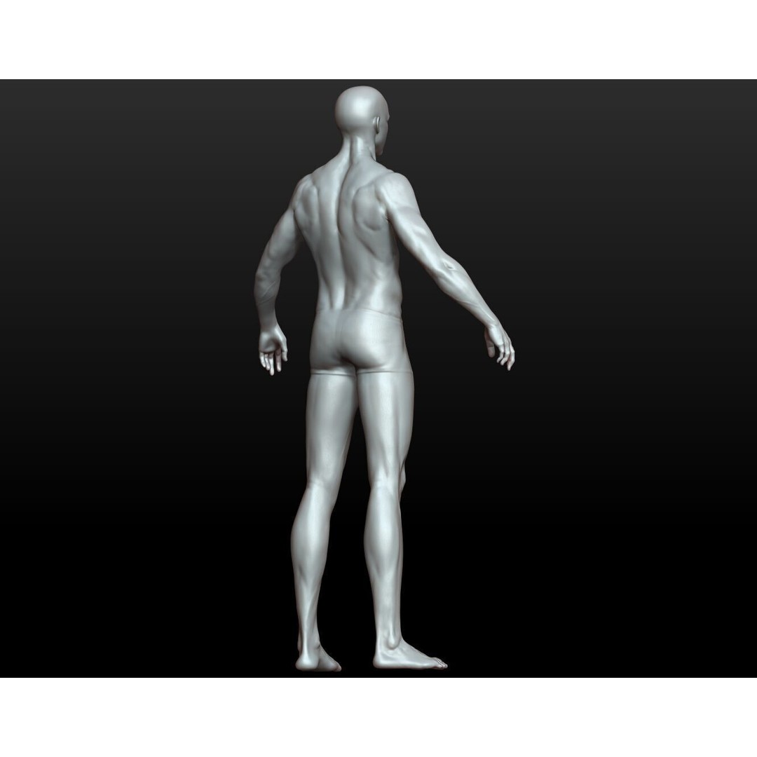 Fantasy Human Basemesh 3D Model – High Poly Rigged Low Poly Character - View 20