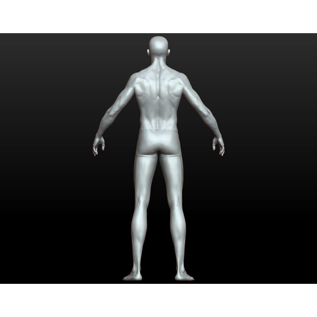 Fantasy Human Basemesh 3D Model – High Poly Rigged Low Poly Character - View 21