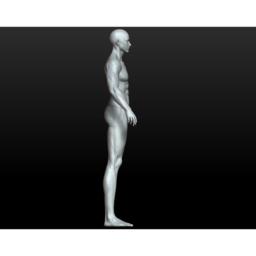 Fantasy Human Basemesh 3D Model – High Poly Rigged Low Poly Character - View 27